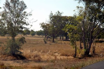 CAMPO (34)  LABRANZA